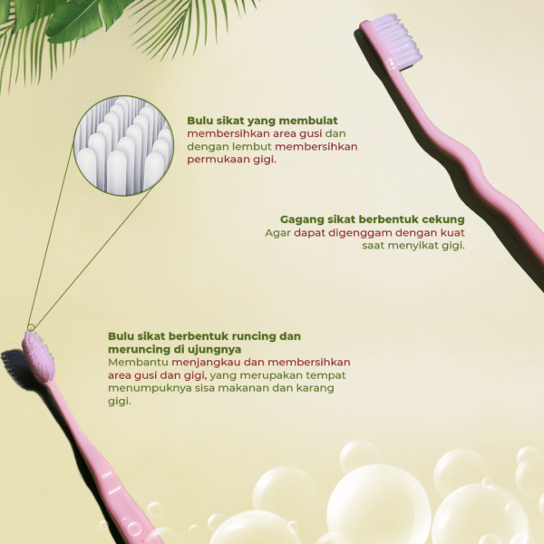 Dok Bua Ku Sikat Gigi Lembut Soft & Clean | Pembersih Gigi & Gusi Dewasa Toothbrush - Image 4