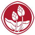 Twin Lotus Dok Bua Ku